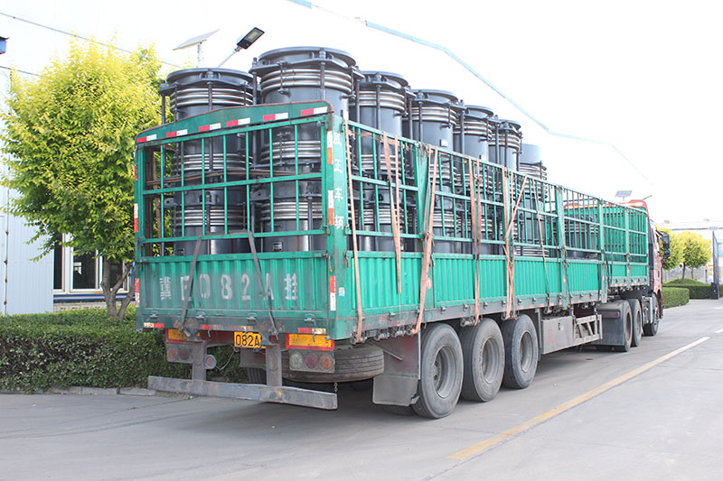 ������������Ƭ